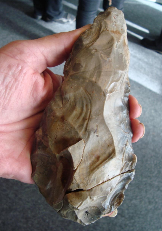 Fircon uit Drenthe Nederland.