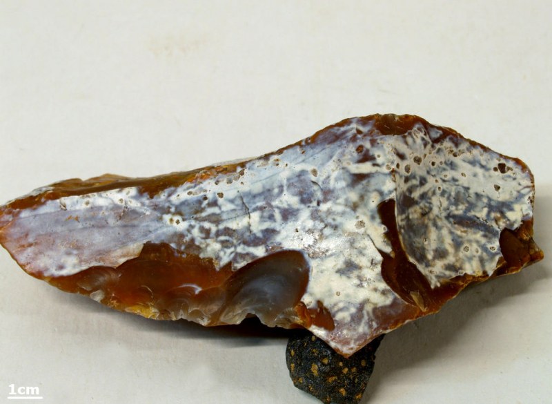 Plaatselijke witte patina boven bruin vuursteen; natuurlijk vergelijkingsstuk.