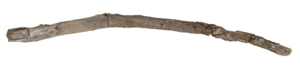 wood-tool
