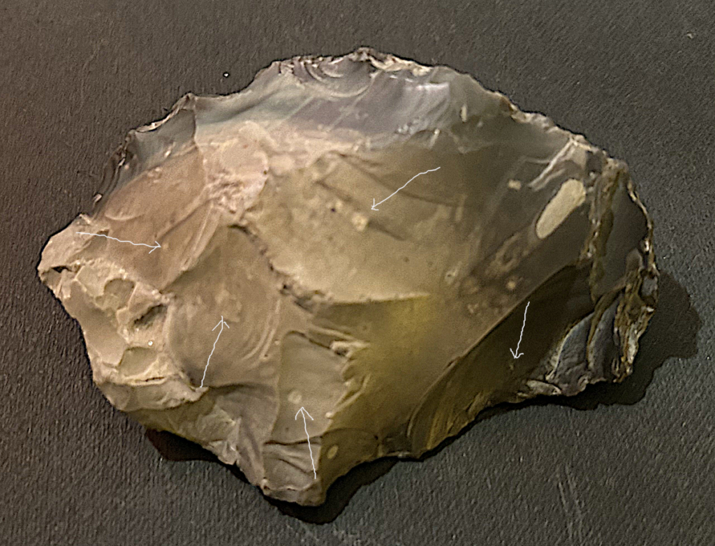 elo-1